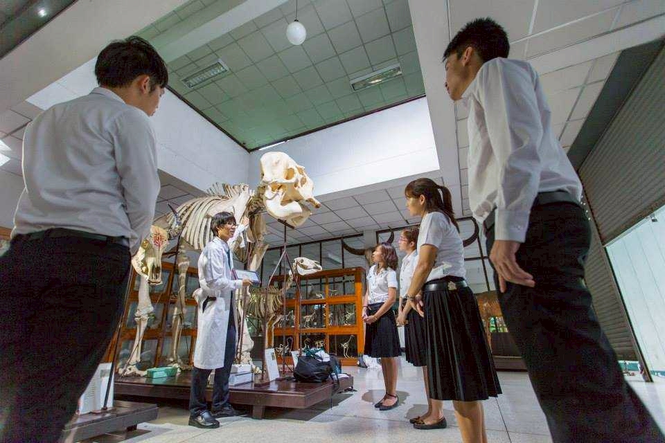 คณะสัตวแพทยศาสตร์ มหาวิทยาลัยเกษตรศาสตร์