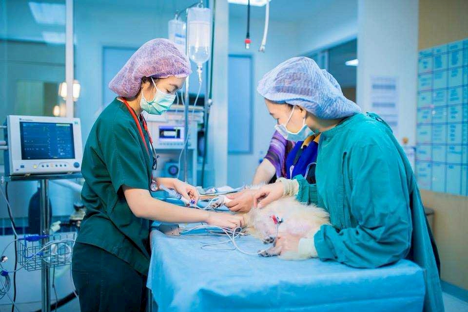 Equine Center Facilities